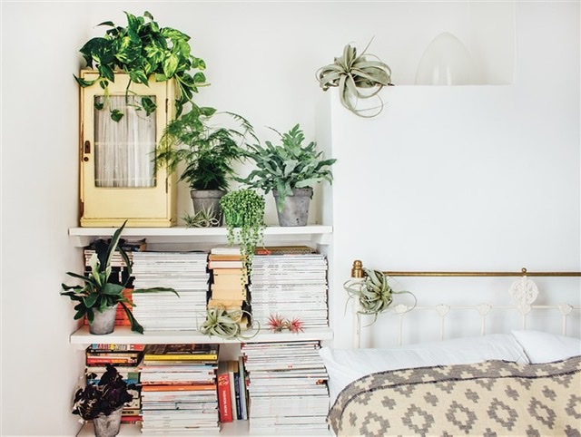Boho
