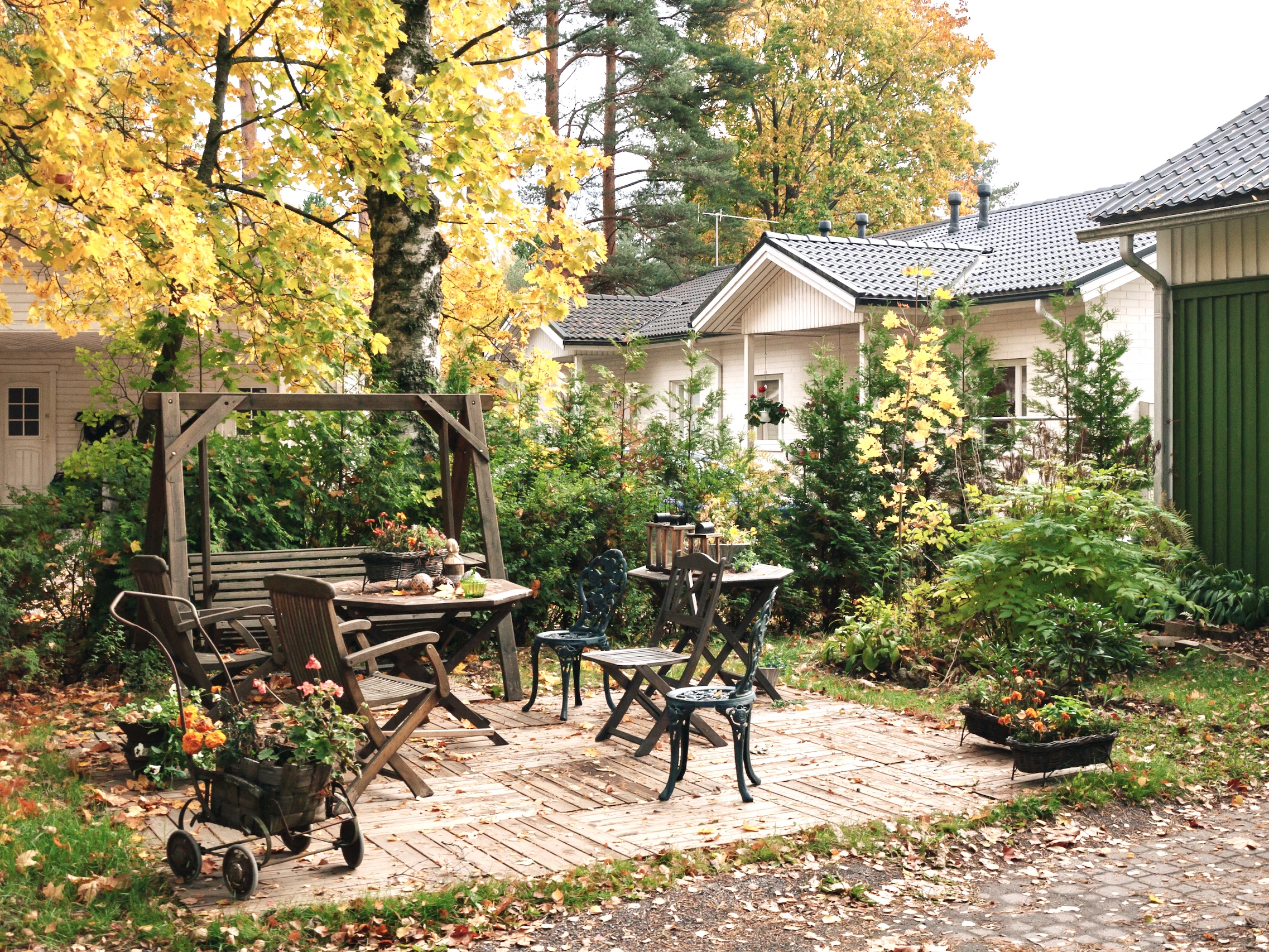 Back Yard Patio Cleaning