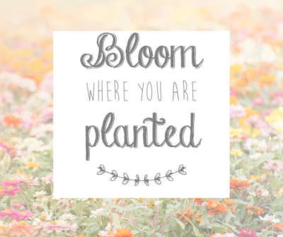 Bloom where you are planted