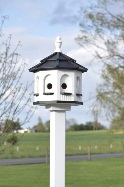 Amish. bird House