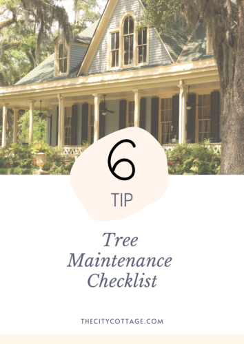 Tree Maintenance Checklist