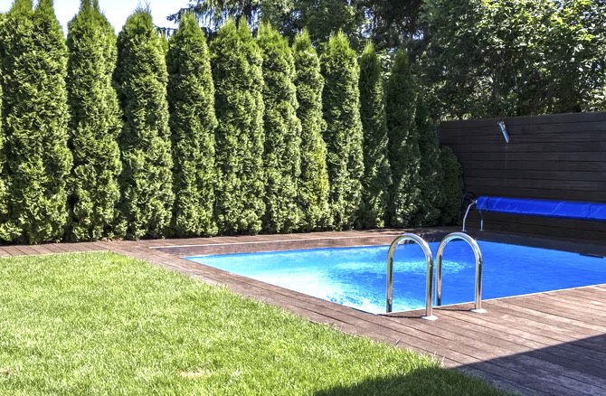 Small pool