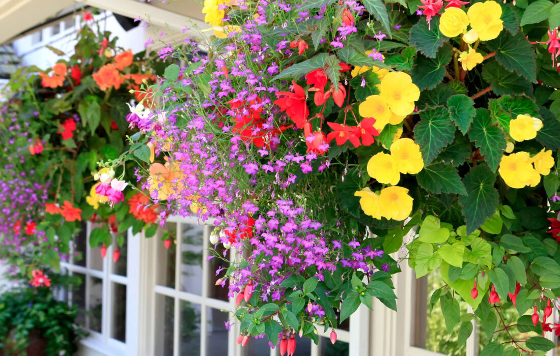 Cozy Patio Ideas: 7 Simple Tips