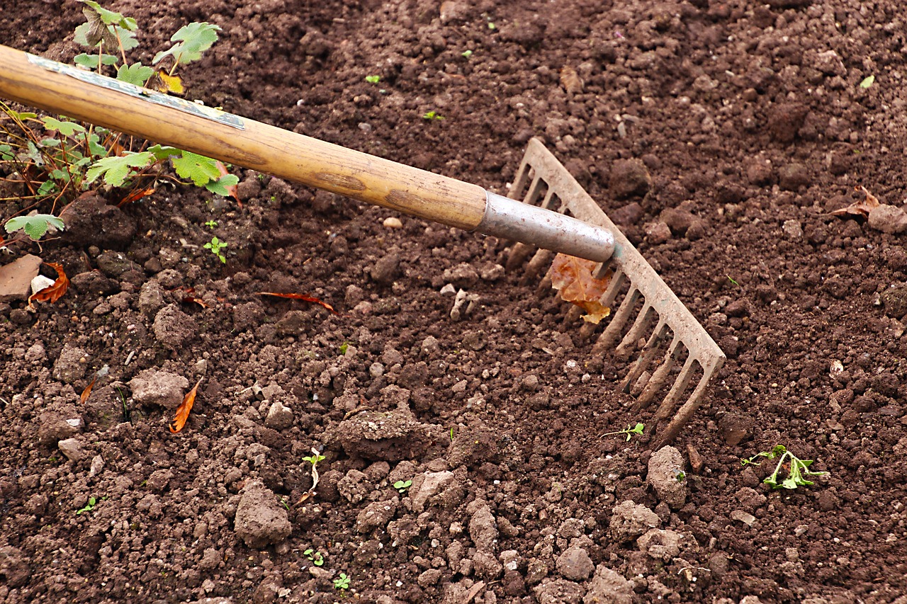 rake, gardening, garden, agriculture, work, tool, gardener, equipment, outdoor, raking, rural, soil, cultivation, earth, surface, ground, texture, nature, land, planting, nobody, brown, cultivated, dirt, farmland, weeding, brown earth, brown work, brown texture, brown garden, brown gardening, brown tools