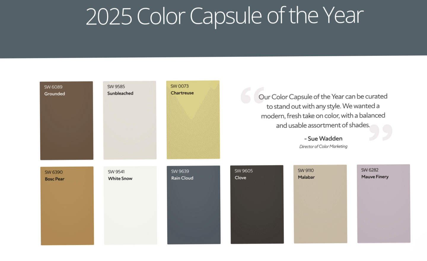 2025 Sherwin Williams Bold