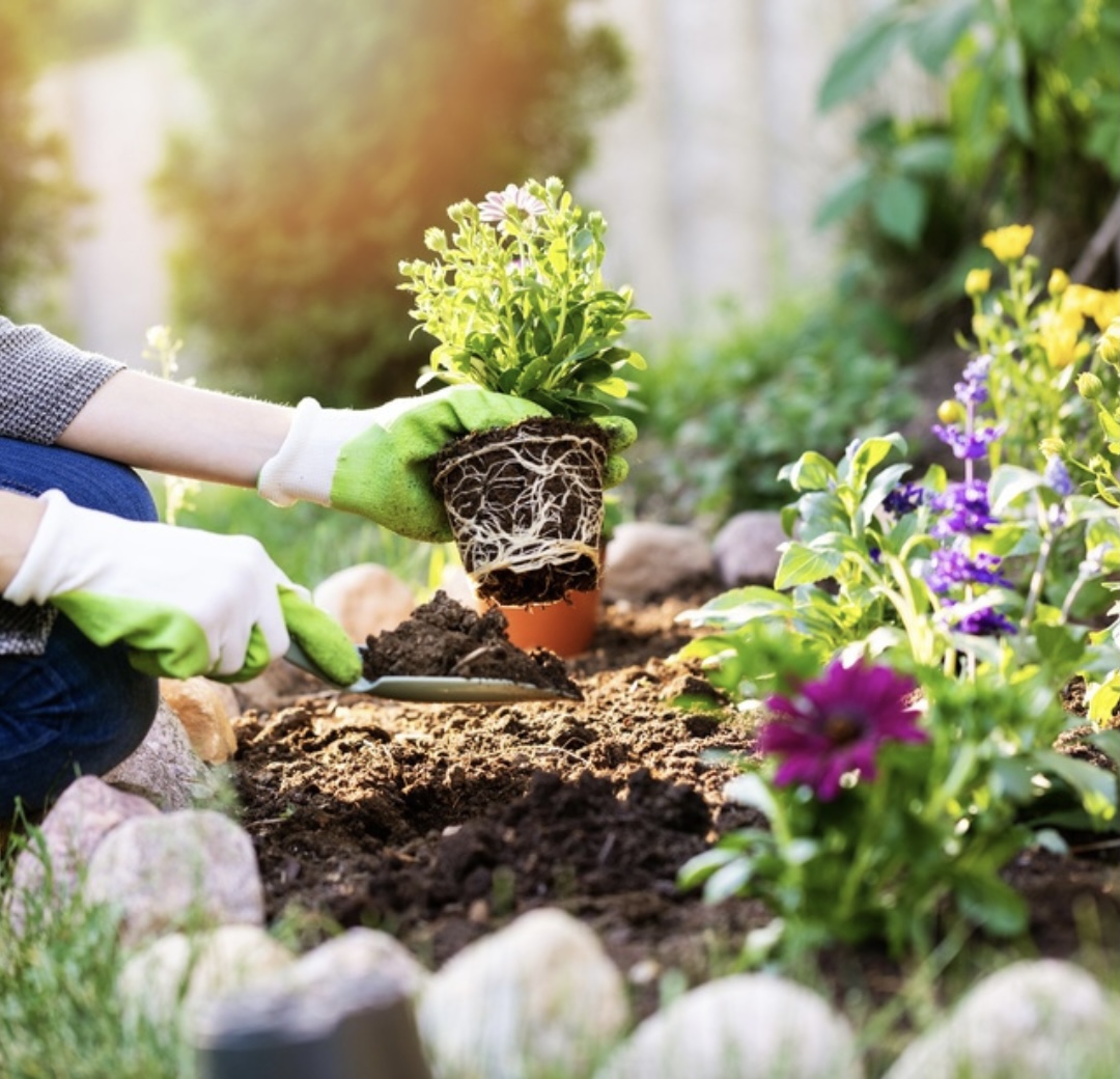 Best Soil Prep Methods for Garden Bed Success