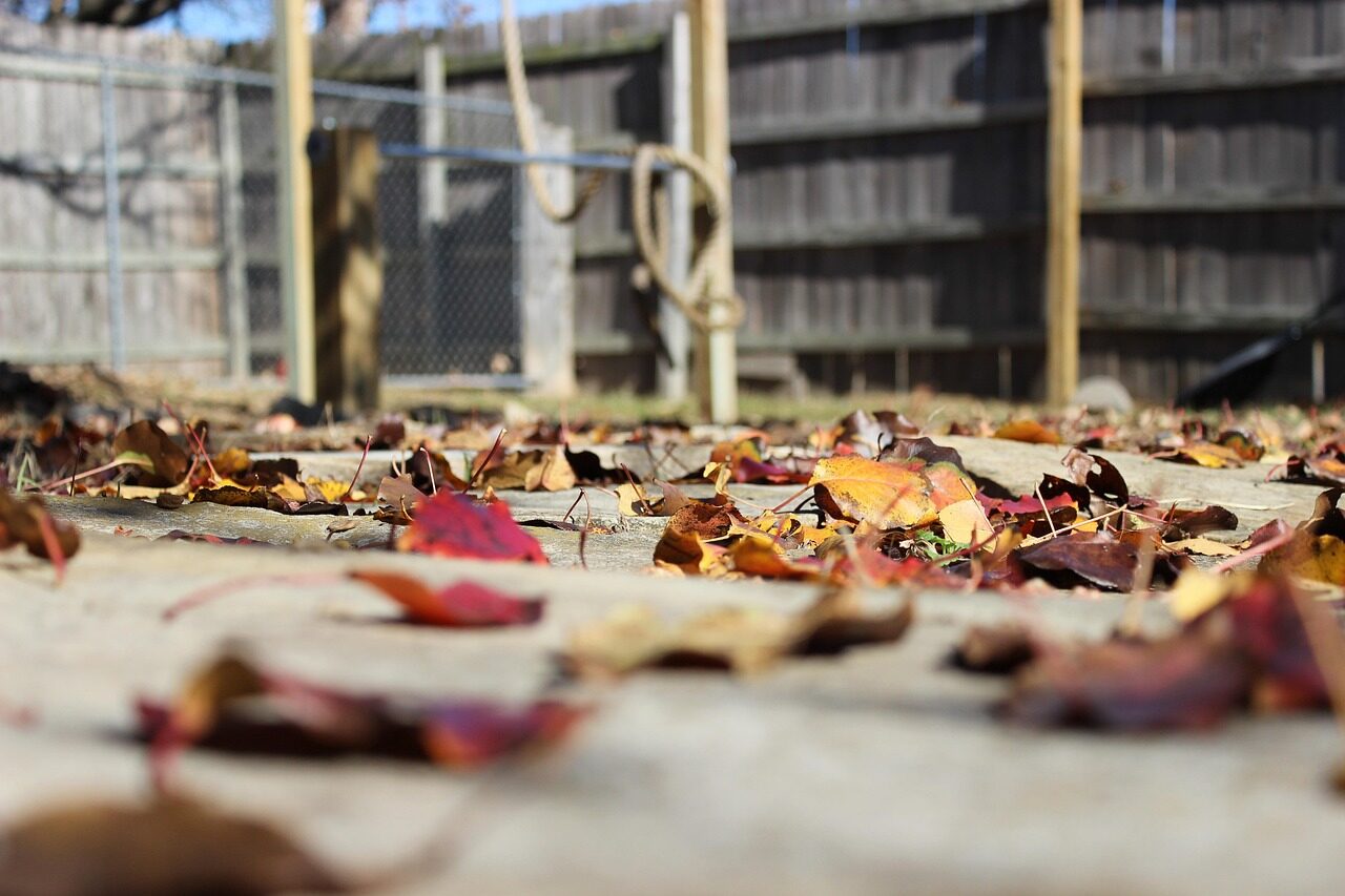 fall, autumn, leaves, nature, season, patio
