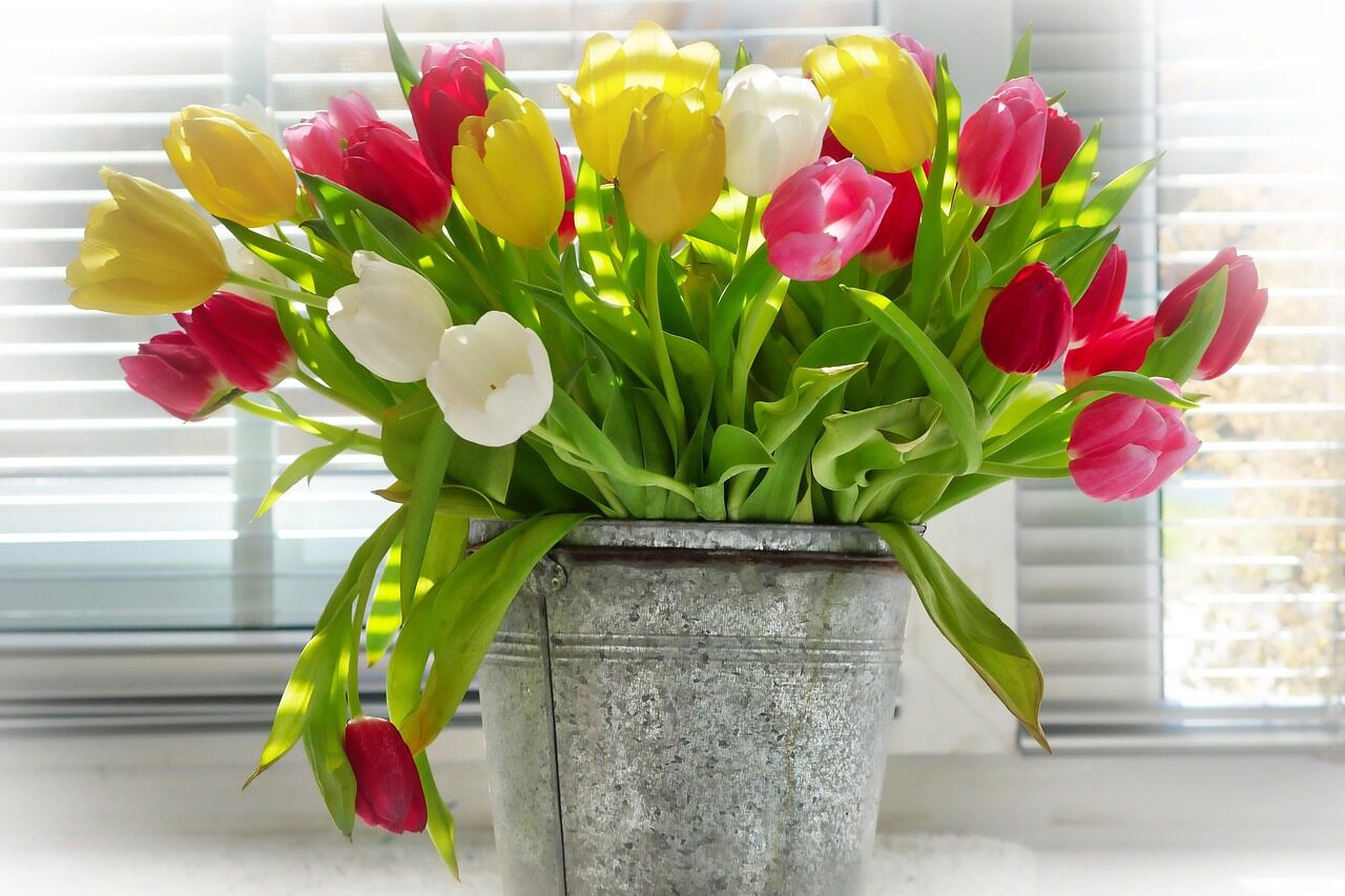 vase, flower, beautiful flowers, flower wallpaper, bunch of flowers, pot, ornament, nature, tulips, flower background, bucket